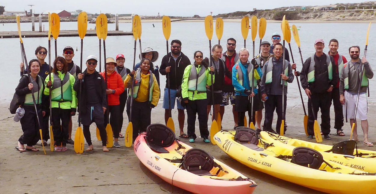 Kayakcrop Synthekine